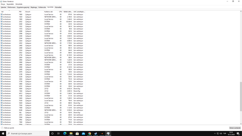 göre yöneticisinde 64 tane svchost.exe!!! normal mi?