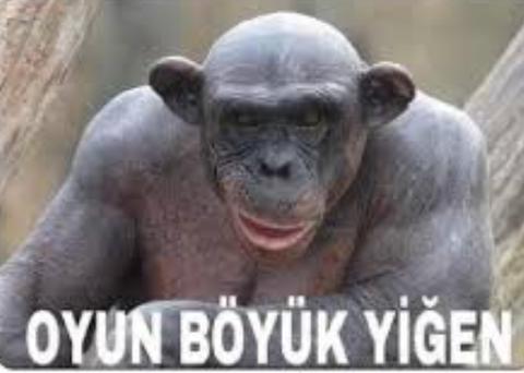 POZİTİF PCR TESTİ