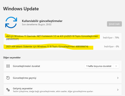 Windows 11 23H2 REHBER | 31 EKİM 22631.2506 | Faydalı Anlatımlar, Yeni Haberler [ANA KONU]