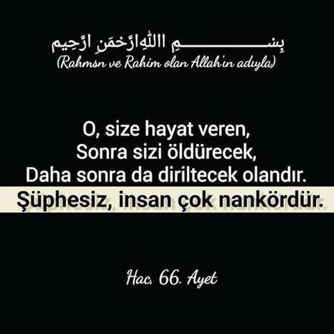 kanser ve kalp krizi.