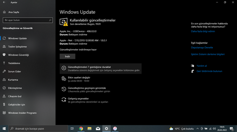 windows 10 windows update sorunu