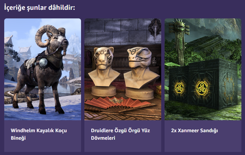 The Elder Scrolls Online [ANA KONU]