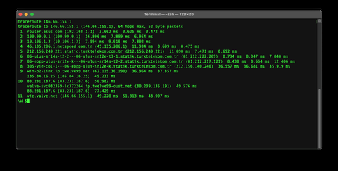 netspeed tracert testi