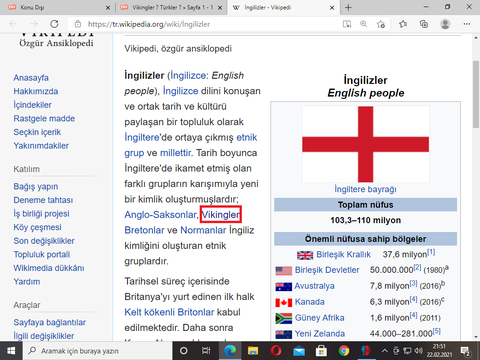 Vikingler ? Türkler ?