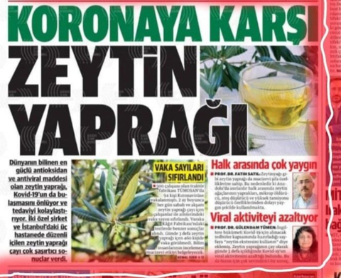 Koronaya Karşı Zeytin Yaprağı Çayı