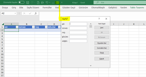 Excel'de Veri Giriş Formu Yapımı