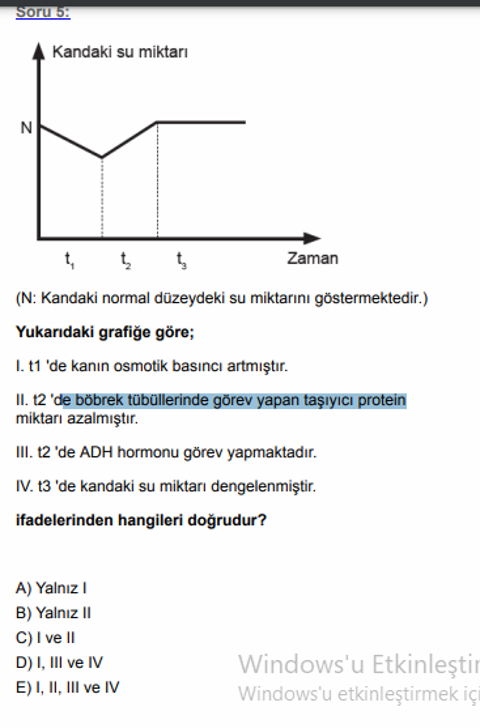 böbrek tübüllernde görev yapan taşıyıcı proten