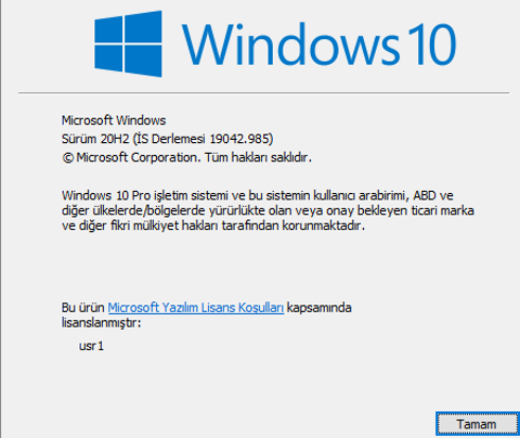 Valorant "DX11 feature Level 10.0 is required to run the Engine" hatası