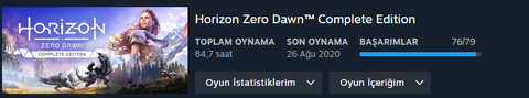 Horizon Zero Dawn Complete Edition (2020) [PC ANA KONU]