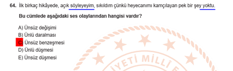 söylemek sözcüğünün kökü