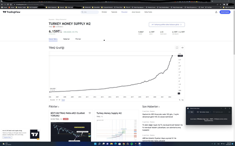 Bir garip TL hikayesi, dolar lobisi diyenlere gelsin!