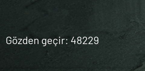 STALKER 2 Türkçe Dil Desteği Söylentisi Hakkında