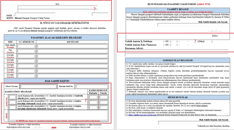 Hususi Pasaport Talep Formu Nasıl Dolduruluyor?