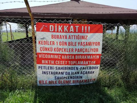 ♦ Türkiye'nin en önemli sorunu "Sokak Köpekleri"