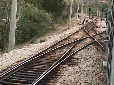 kanser ve kalp krizi.