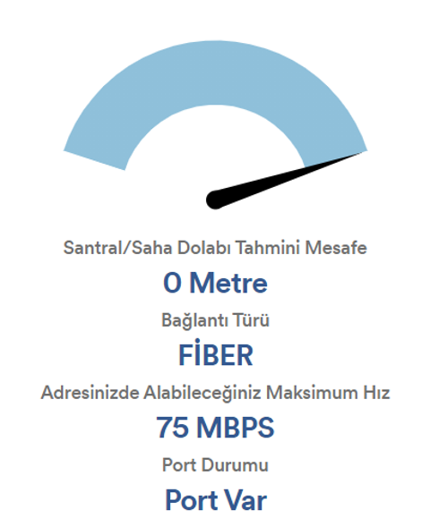 Netspeed Santral Mesefesi + Hız ve Port Sorgulama açıldı