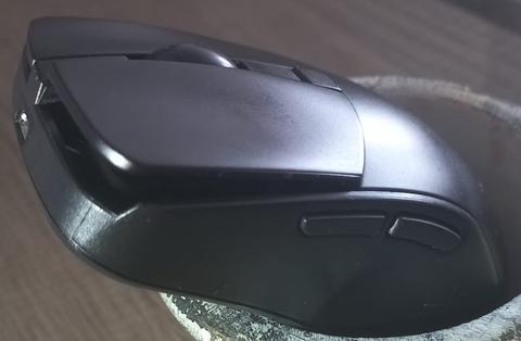 SURPASSION RX Mouse