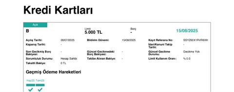 Findeks Risk Raporunda "Borcun Zarara Atılması" sorunu.