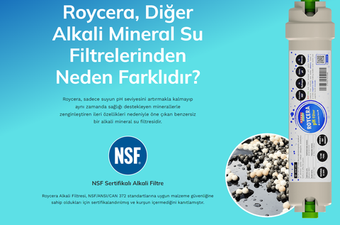 Roycera Alkali Filtre Orp,tds, ph ölçüm , inceleme test konusu