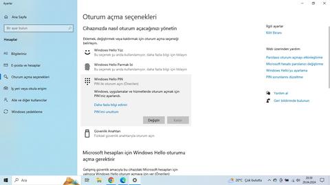 Windows 10 oturum açma seçenekleri