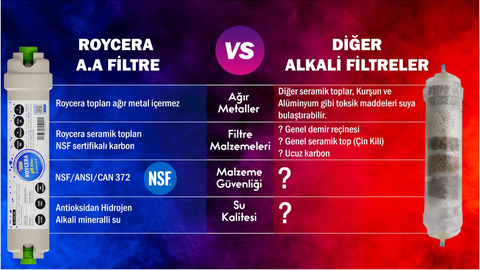 Roycera Alkali Filtre Orp,tds, ph ölçüm , inceleme test konusu