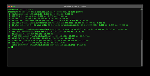 netspeed tracert testi