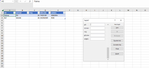 Excel'de Veri Giriş Formu Yapımı