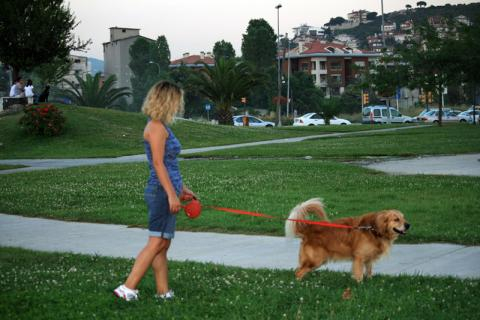 Pandemide sokakta serbestçe dolaşmak mı istiyorsunuz?