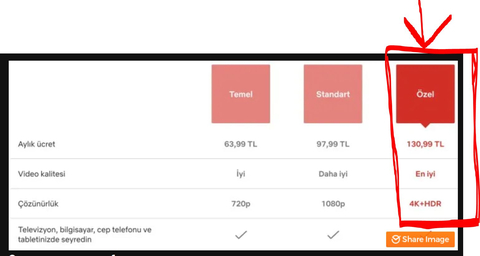 Netflix üye alımı tamamlandı