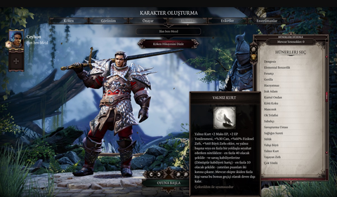 Divinity Original Sin Serisi %100 Türkçe Yamaları