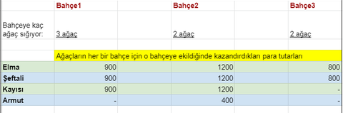 Bu probleme algoritme geliştirebilir misiniz?