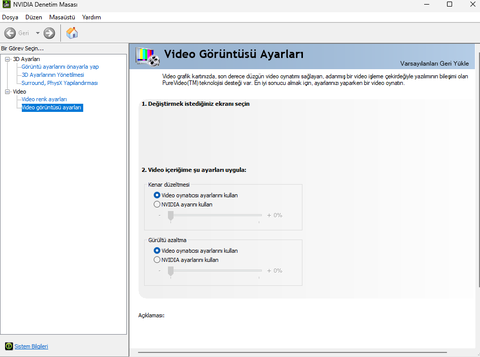 Nvidia Denetim Masasında Ekran bölümü yok