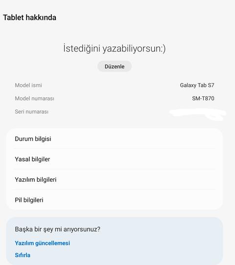 ⓘ SAMSUNG GALAXY TAB S7 Serisi ANA KONU