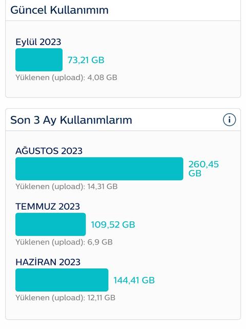 Aylık ortalama internet ne kadar gider?