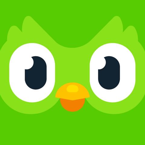 Canva Pro 10 TL - Dualingo Edu 15 TL - Envato - McAfee Antivirüs - Office 365 Pro - Windows 10 Pro