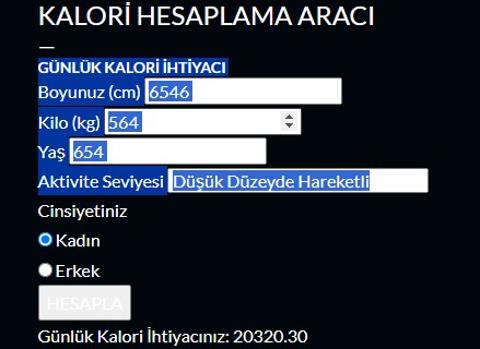 Blog sayfamda diyet kalorisi hesaplayıcısı çalışmıyor