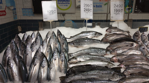 Carrefoursa Balık İndirimi