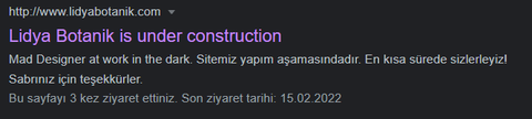 Wordpress Bakım Modu Sorunu