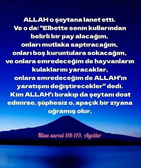 kanser ve kalp krizi.