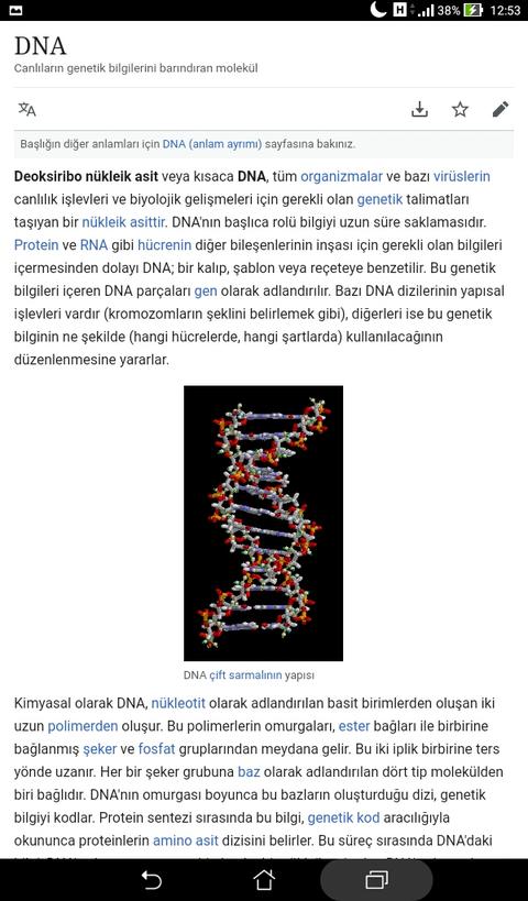 parmak izi ve dna tüm insanları farklı farklı kim kodladı.