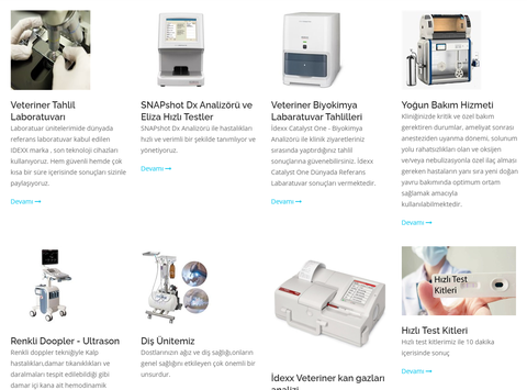 Ataşehir Veteriner Kliniği