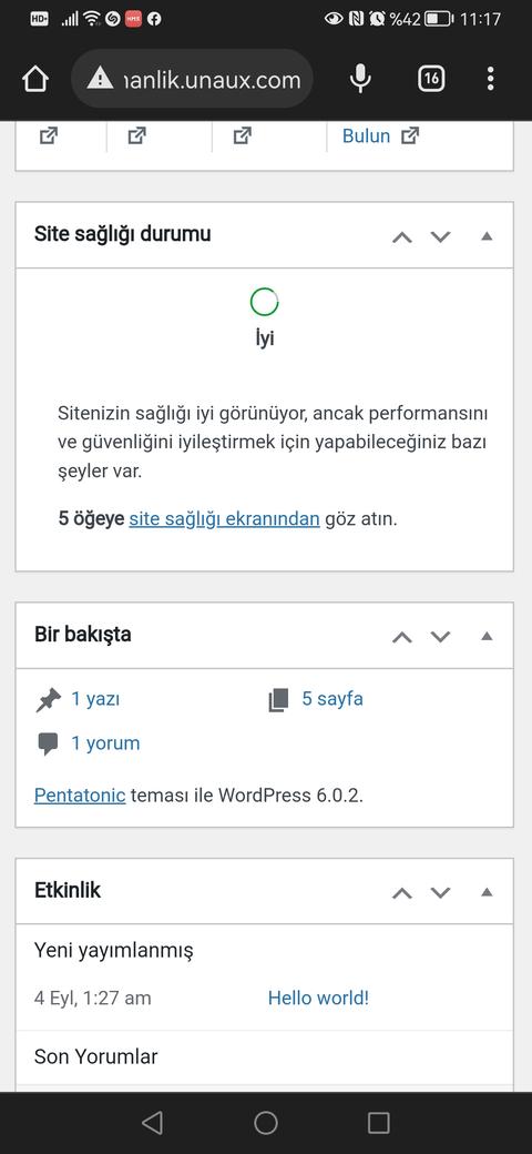 Elementor u temalarımda kullanamıyorum ama yeni sayfa oluşturabiliyorum yardım edin