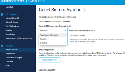 Keenetic Omni DSL incelemesi