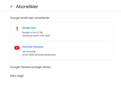 7200TL değerinde Google Gemini Pro öğrencilere ücretsiz
