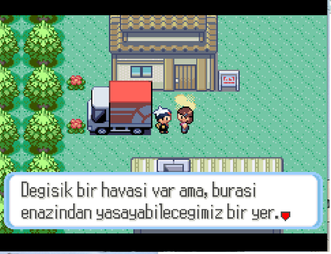 Nintendo ds ve game boy advance çeviri edit