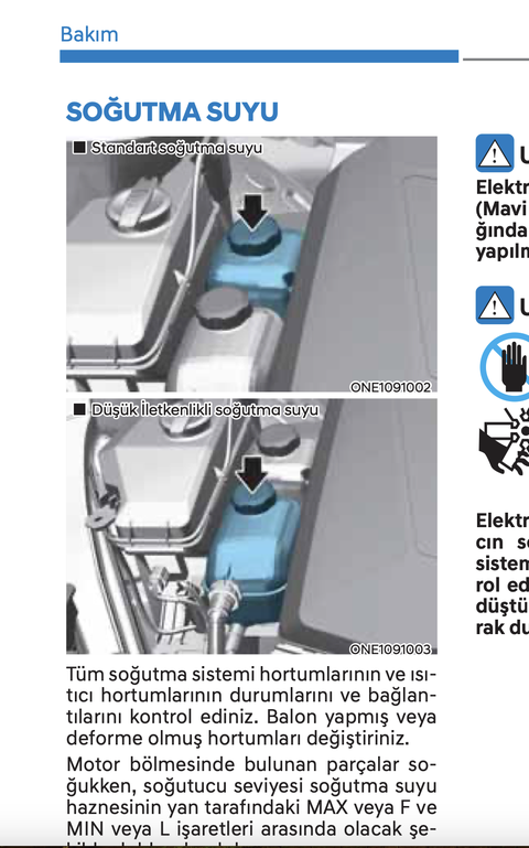 HYUNDAI IONIQ 5 ve 6 KULLANANLAR