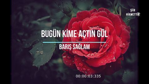 Bugün kime açtın gül