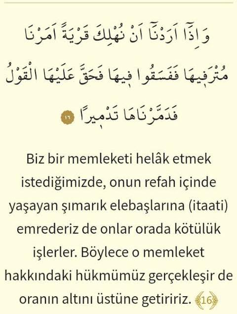 kanser ve kalp krizi.