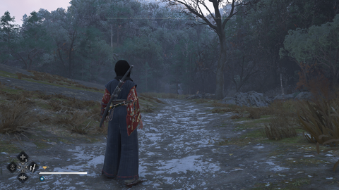 Assassin's Creed Shadows {PC ANA KONU} {Çıktı/2025}