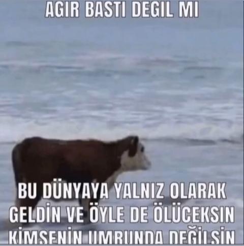 Ağır bastı değil mi